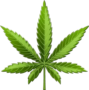 cannabis w600